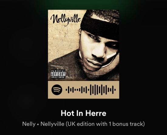 Hot in Herre - Nelly